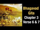 Bhagavad Gita Chapter 3 Verse 6 and 7 | Gita Gyan by Lord Krishna | Artha - Amazing Facts
