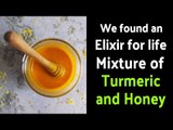 Health benefits of Turmeric and Honey Mixture - We found an Elixir for life | Artha | Ayurvedic tips