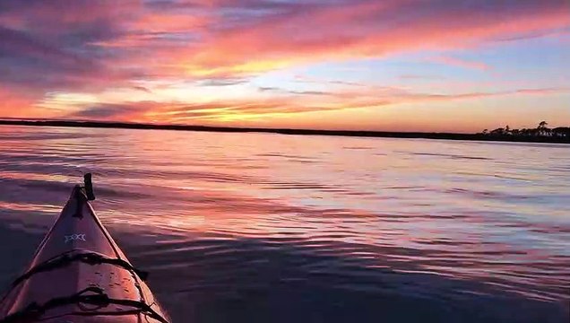 Ce kayakiste rencontre une dauphin à Broad Creek, USA... Images magnifiques