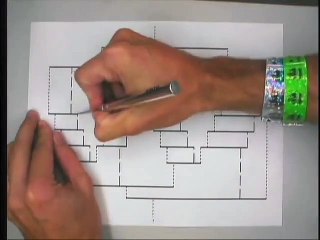 Amazing 3D Paper Design!