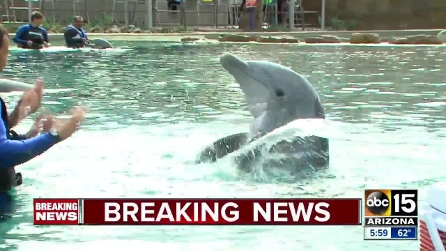 Dolphinaris temporarily closing