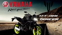 2019 Yamaha MT-125 Trace Sport Touring Version in Europe and North America | Yamaha MT-125 Tracer