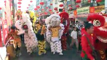 Chinos celebran en todo el mundo la llegada del Año del Cerdo