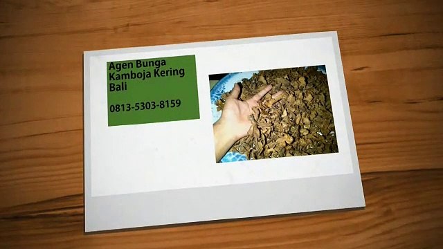 TERLENGKAP!!! 0813-5303-8159,Grosir Bunga Kamboja Kering Tangerang