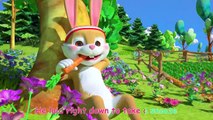 The Tortoise and the Hare - +More Nursery Rhymes & Kids Songs - CoCoMelon