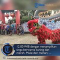 Pertunjukan Barongsai di Kelenteng Kong Miao TMII