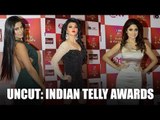 Star Studded Indian Telly Awards 2015