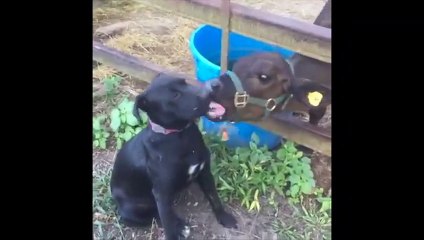 Friends will be friends