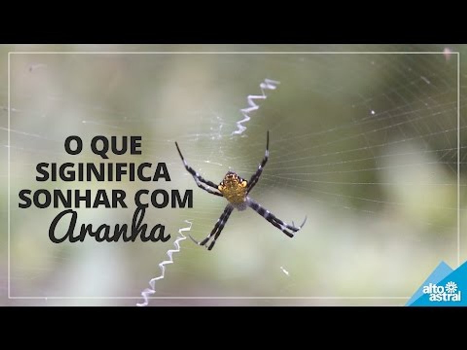 O que significa sonhar com aranha?