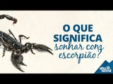 O que significa sonhar com escorpião?