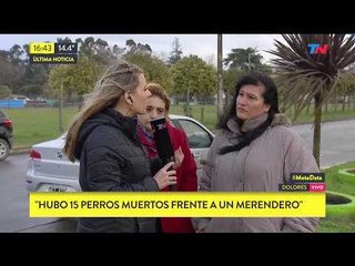 Más animales envenenados: Ahora en Dolores
