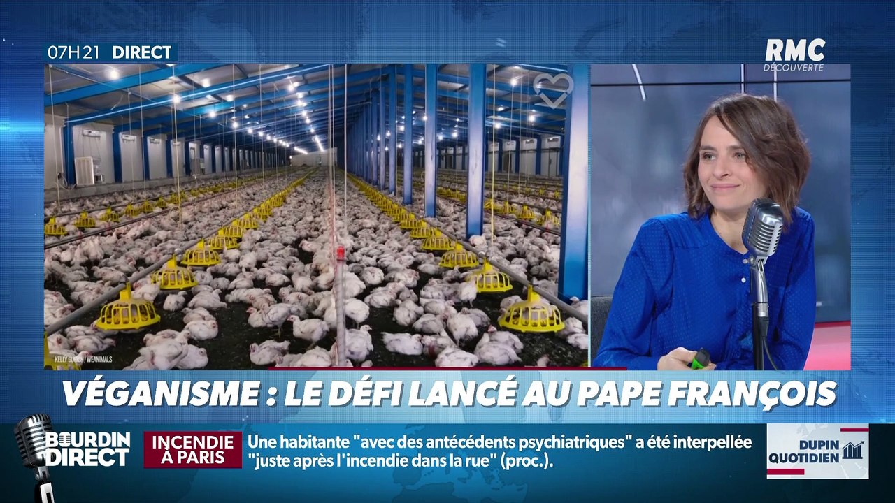 Dupin Quotidien : Véganisme, le défi lancé au pape François - 06/02