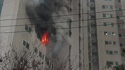 대구 아파트서 불...40여 명 연기 마셔 치료 / YTN