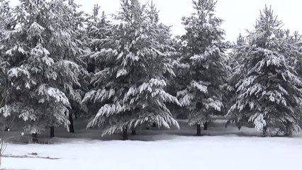 Doğu Anadolu'da Kış