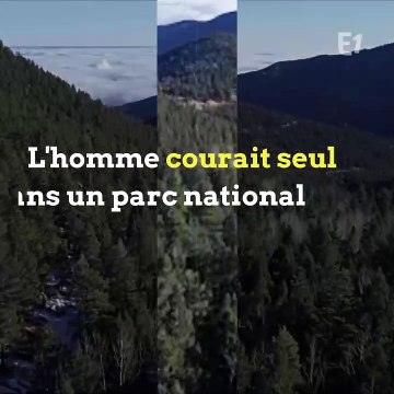 Aux Etats-Unis, un joggeur a tué un puma à mains nues