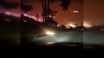 - Şili’de Orman Yangınları Nedeniyle OHAL İlan Edildi