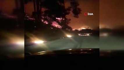 Şili'de Orman Yangınları Nedeniyle Ohal İlan Edildi