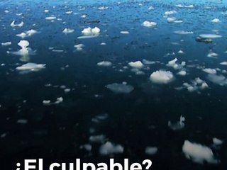 Cambia color de los océanos