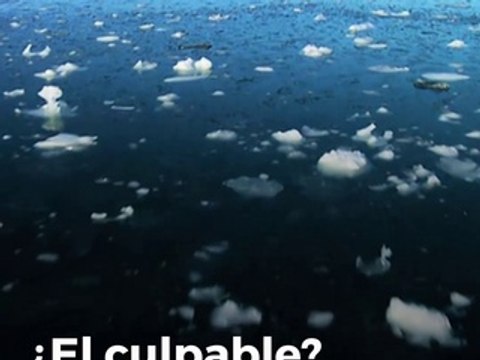 Cambia color de los océanos