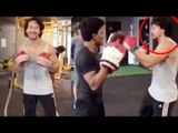 Tiger Shroff’s Amazing BOXING Training Video | Baaghi 2 | Tiger Shroff Stunt | Tiger Shroff Fight
