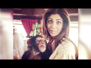 Shilpa Shetty’s FUNNY Video Copying A Monkey