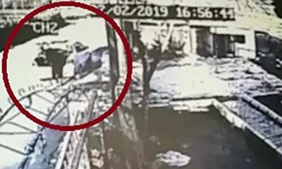 0 bin TL değerinde 5 adet köpek çalan şahıs yakalandı