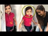 Mira Rajput Playing With CUTE Daughter Misha Kapoor Video