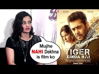 Sneha Ulal's SHOCKING Reaction On Salman Khan's Tiger Zinda Hai - SUPER HIT