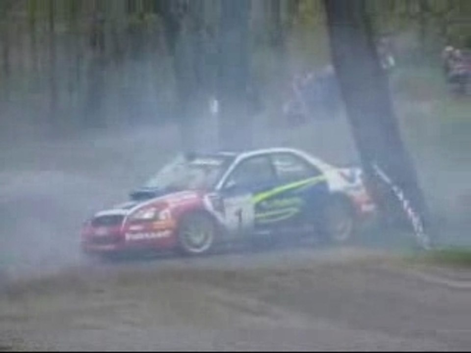 Kuzaj crashes into a tree