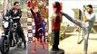 Akshay Kumar's REAL & LIVE Stunts | Akshay Kumar STUNTS Video