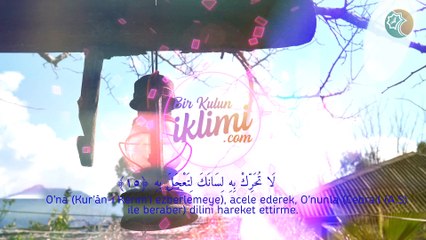 Kıyamet Suresi, Osman BOSTANCI (Meâlli)