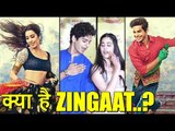 What Is ZINGAAT Song From DHADAK all about? | Jhanvi Kapoor | Ishaan Khattar