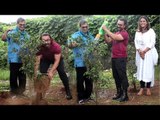 Aamir Khan Attend Subhash Ghai's Whistling Woods International Tree Plantation