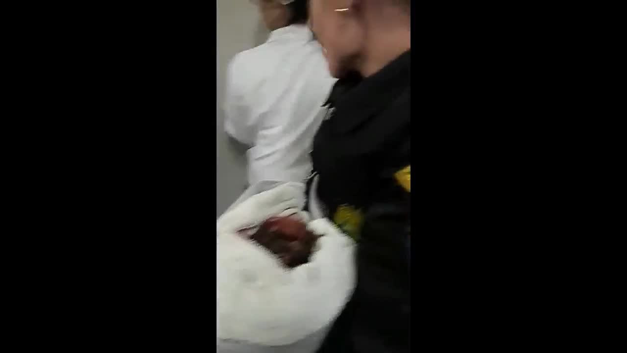 PM encontra bebê recém-nascido abandonado  em Curitiba