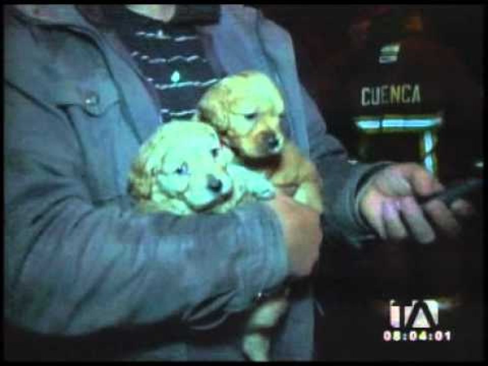 incendio cuenca