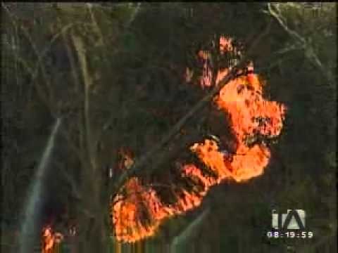 Incendio amenaza instalaciones de Pronaca en Puembo