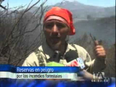 reservas incendios