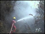 Este sábado se realizará una caminata para defender los bosques en Quito