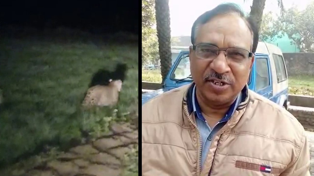 सो रहे किसान पर आदमखोर तेंदुए ने किया हमला, मुंह में टॉर्च घुसाकर बचाई जान