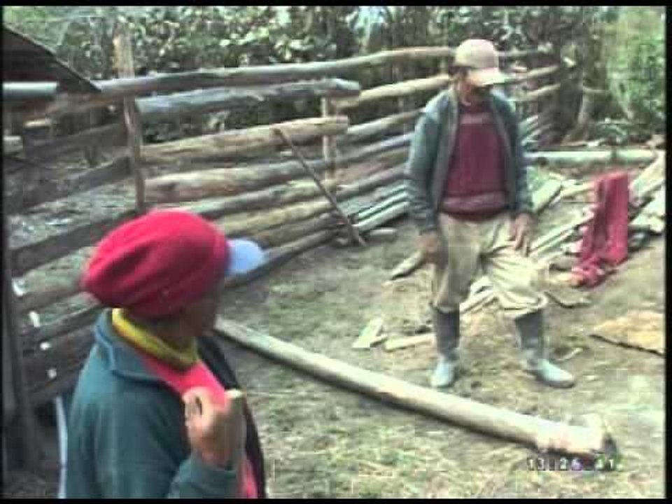 Nivel sísmico del volcán Tungurahua es moderada-alta, según SNGR