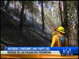 Incendio en Quito consumió una parte del bosque de las faldas del Pichincha
