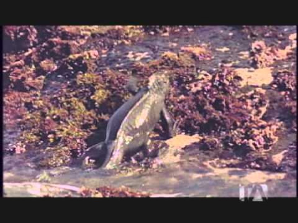 Tectónica de Placas