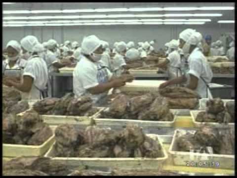 Exportadores ecuatorianos señalan las consecuencias por renuncia al ATPDEA