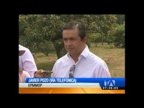 La propuesta de adoptar arboles continúa en análisis