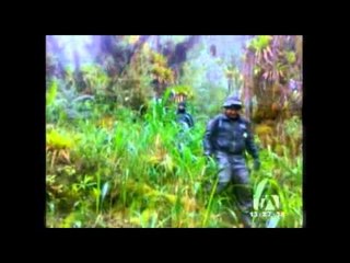 Continúa la búsqueda de excursionista extraviado en la reserva El Cofanes