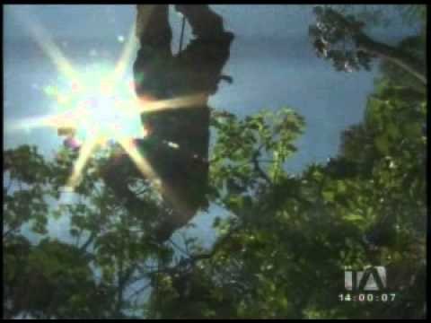 Miembros del cuerpo de bomberos realizaron curso en el que demostraron sus destrezas