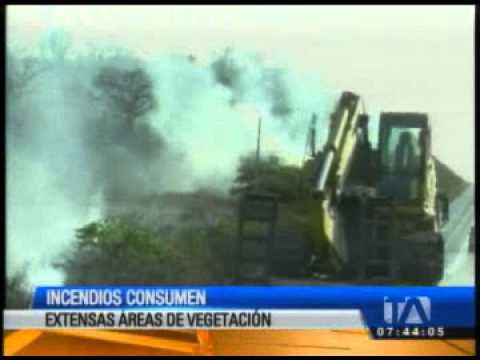 Incendio consumió extensas áreas de vegetación en la vía Manta Rocafuerte