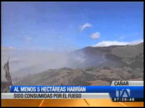 Al menos 5 hectáreas del bosque protector de Zhuan fueron consumidas por el fuego