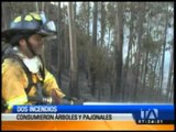 Dos incendios forestales consumieron árboles y pajonales en Bolívar