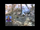 141 hectáreas de bosques se quemaron en lo que va del año en Azuay
